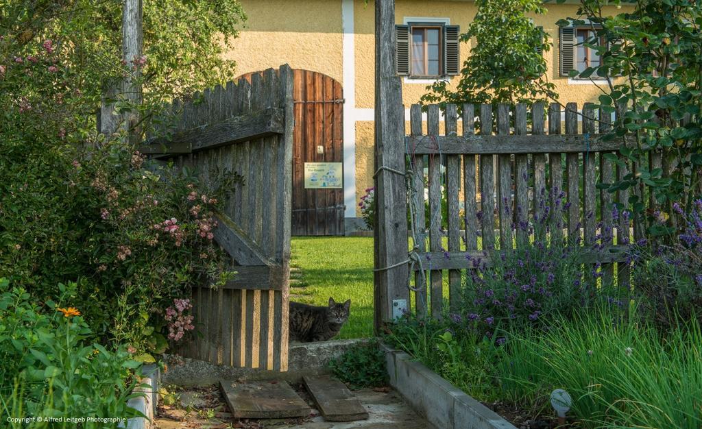 Вілла Weslhof Attersee Екстер'єр фото